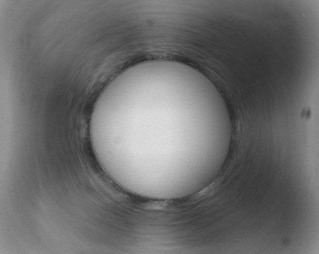 X0000110770086200906151004