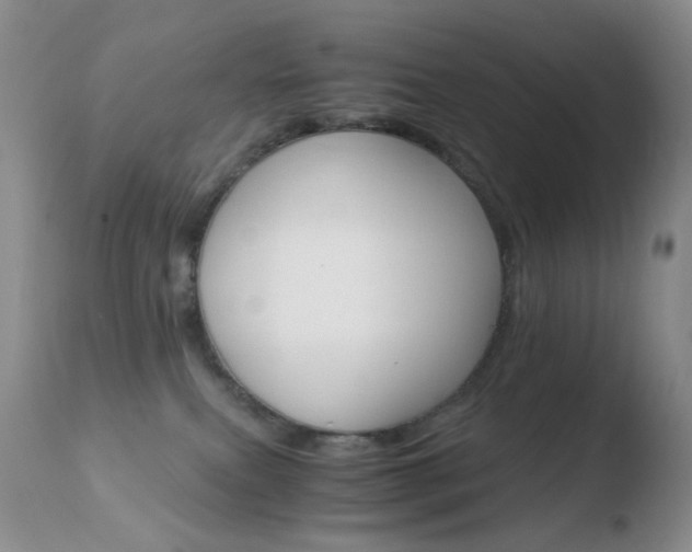 X0000110770087200906151004