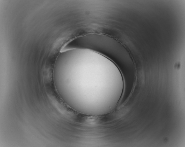 X0000110770088200906151004