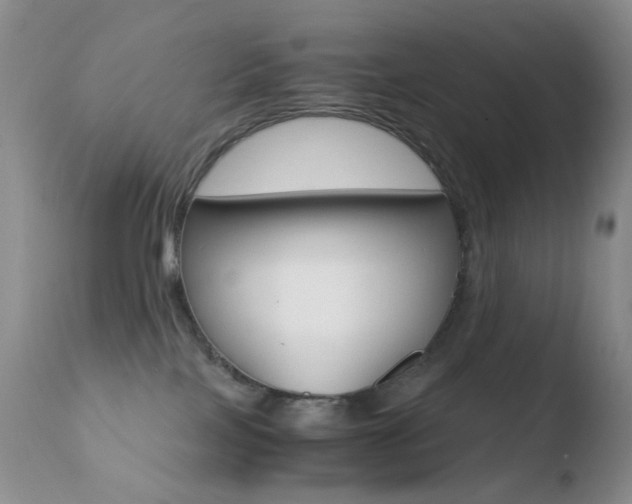 X0000110770089200906151004