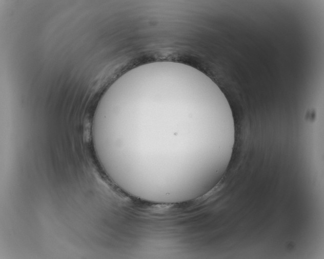 X0000110770090200906151004