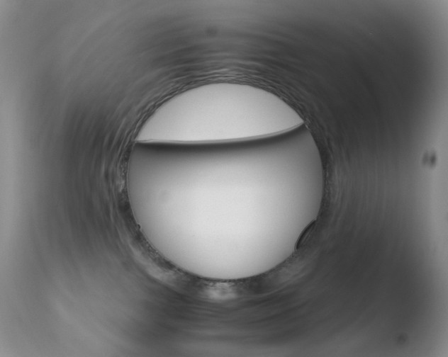 X0000110770091200906151004