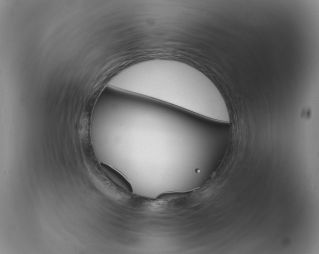 X0000110770092200906151004
