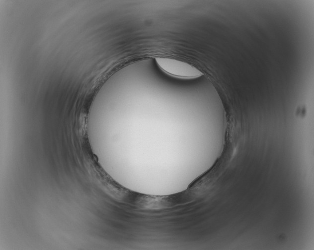 X0000110770093200906151004