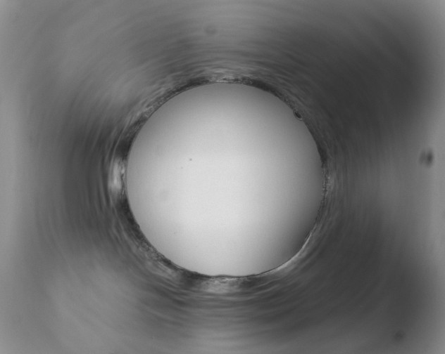 X0000110770094200906151004