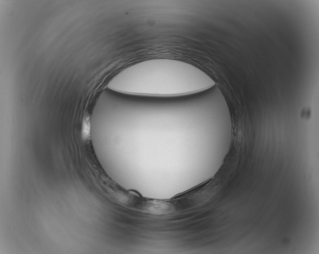 X0000110770095200906151004
