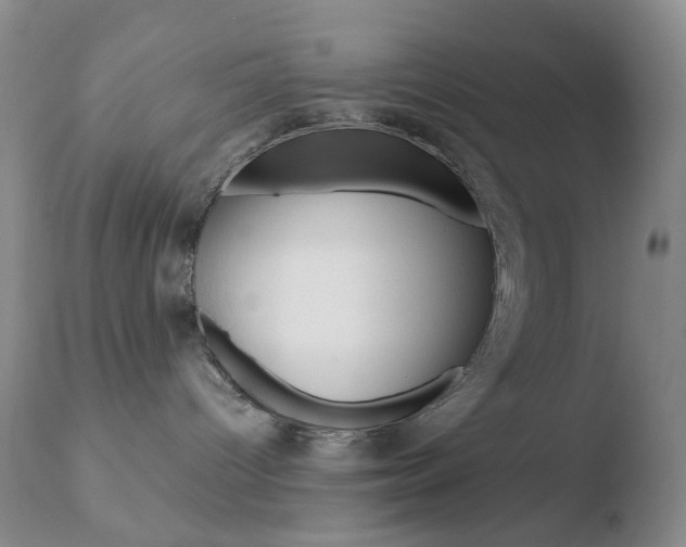 X0000110770096200906151004