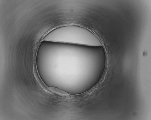 X0000110770097200906151003