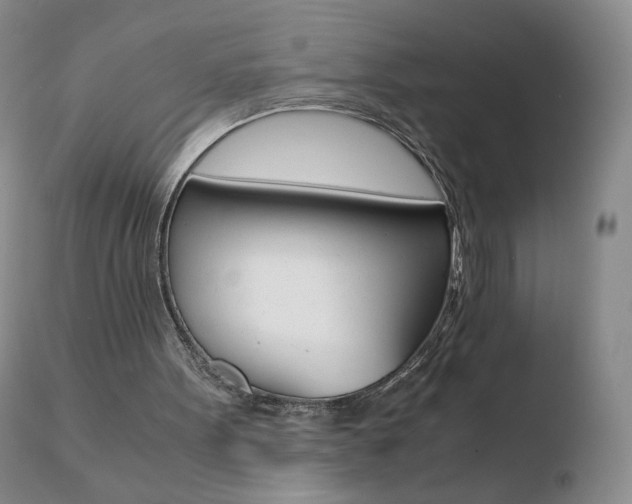 X0000110770099200906151003