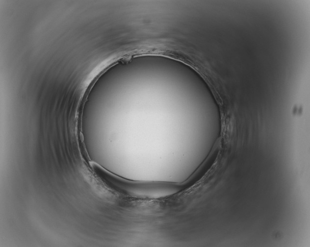 X0000110770100200906151003