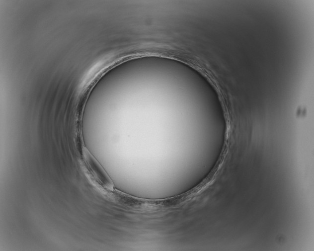 X0000110770101200906151003