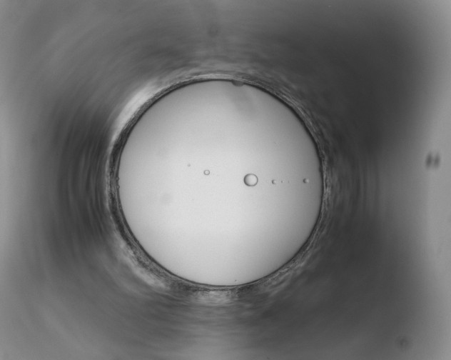X0000110770102200906151003