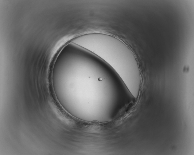 X0000110770104200906151003