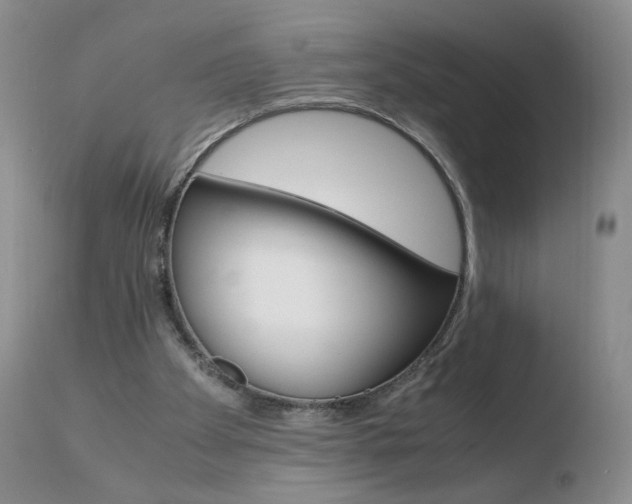 X0000110770105200906151003
