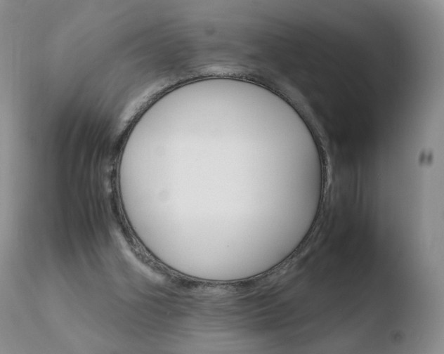 X0000110770106200906151003