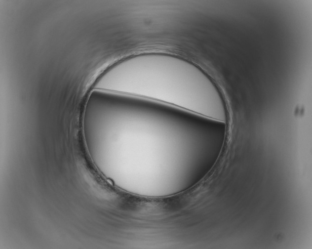 X0000110770107200906151003