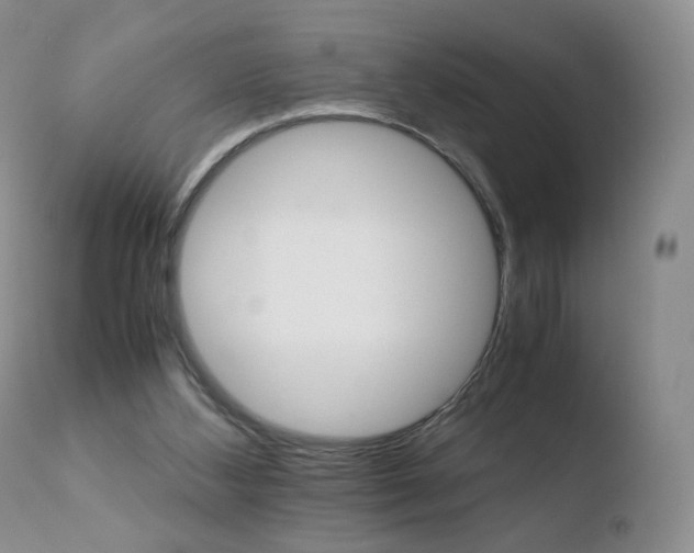 X0000110770108200906151003