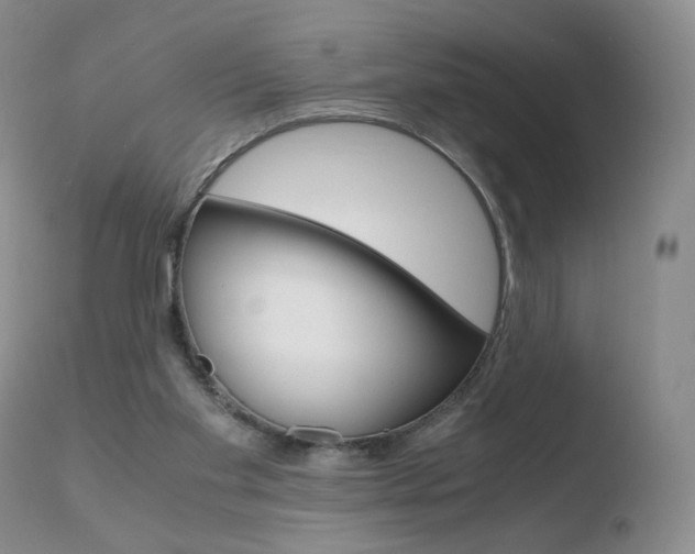 X0000110770109200906151003