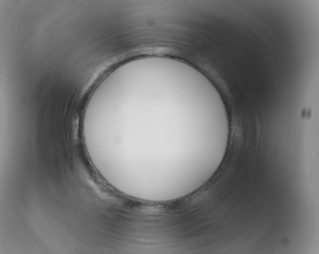 X0000110770110200906151003