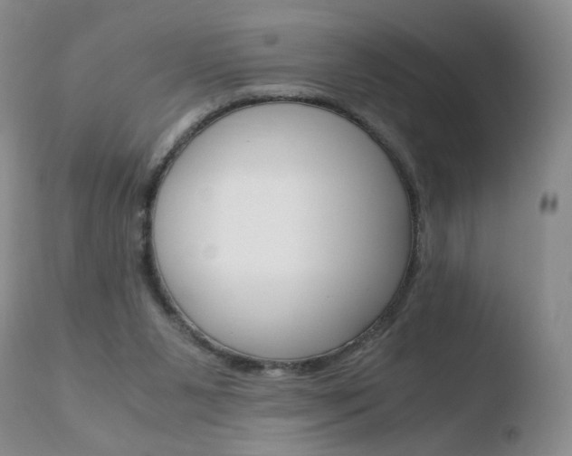 X0000110770111200906151003