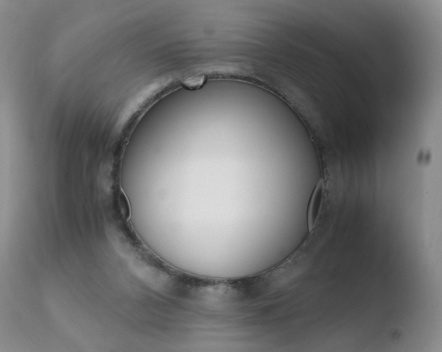 X0000110770112200906151003