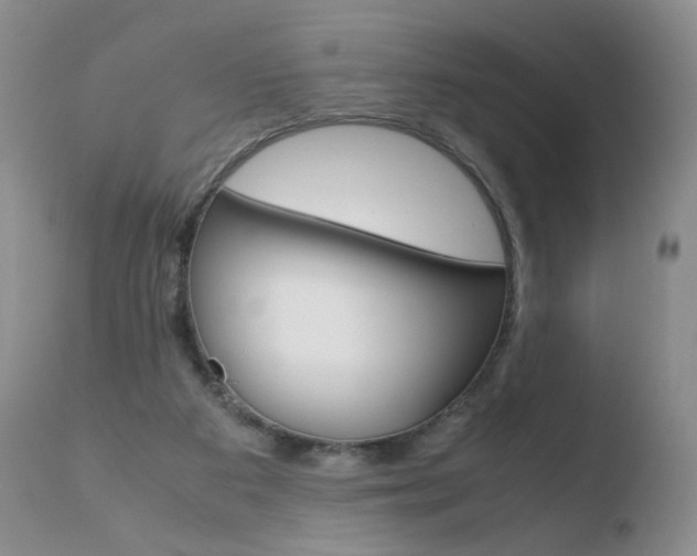 X0000110770113200906151003