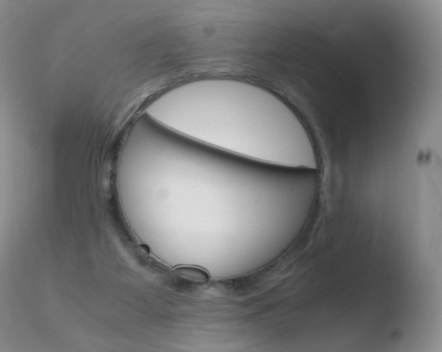 X0000110770115200906151003