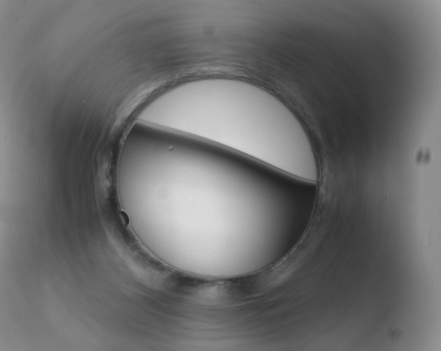 X0000110770116200906151003