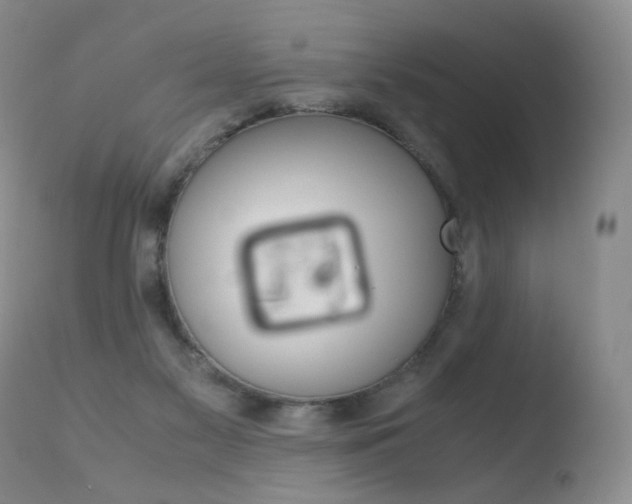 X0000110770117200906151003