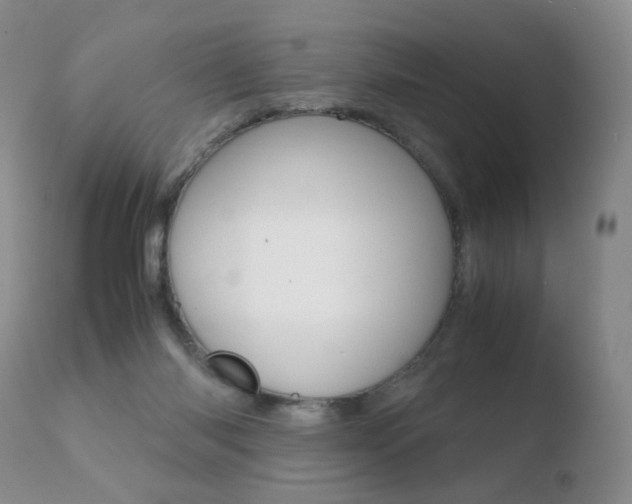X0000110770118200906151003