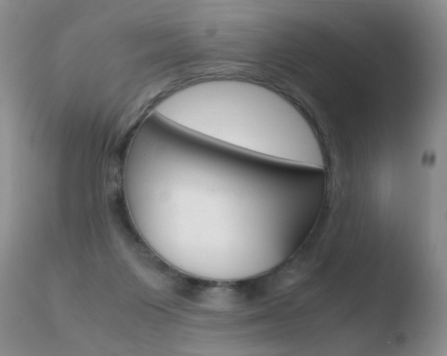 X0000110770119200906151003