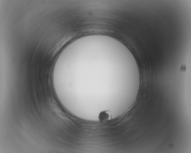 X0000110770120200906151003