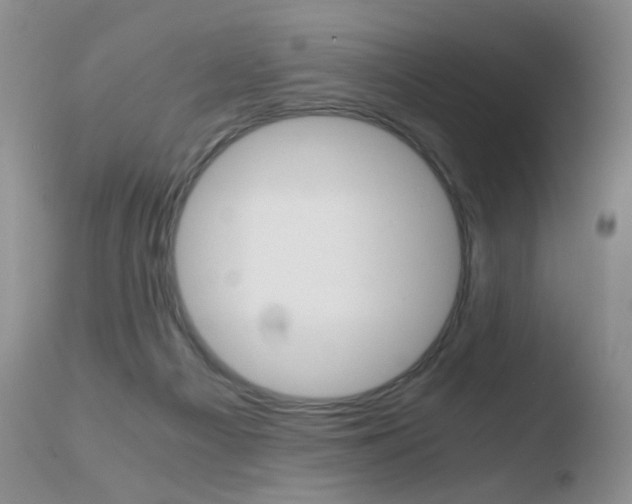 X0000110770121200906151003