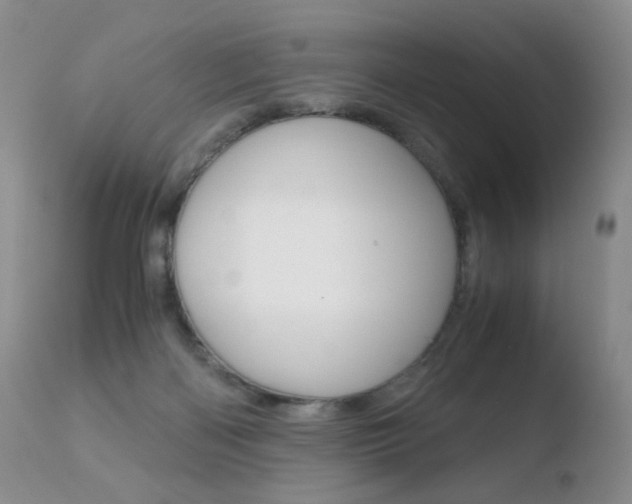 X0000110770122200906151003