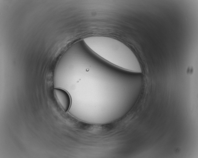 X0000110770123200906151003