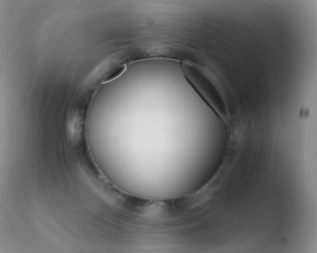 X0000110770124200906151003