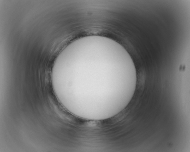 X0000110770126200906151003