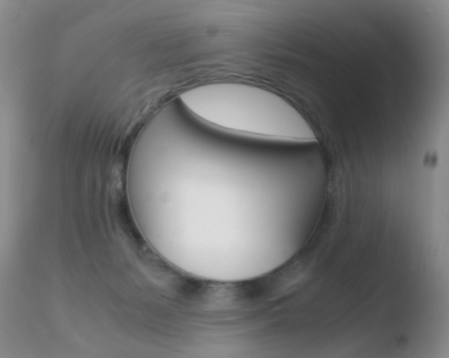 X0000110770127200906151003