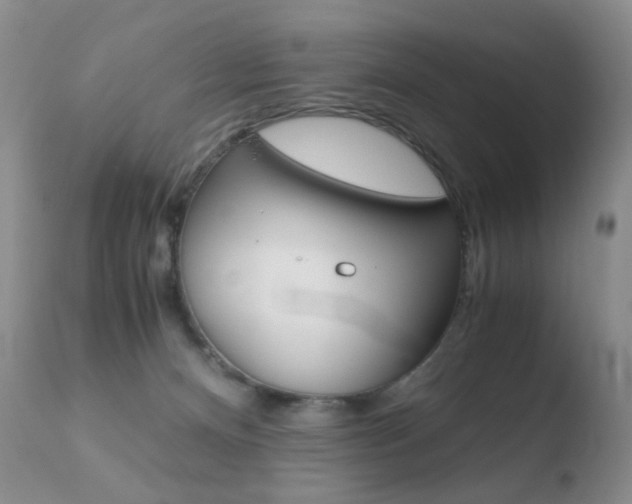 X0000110770128200906151003