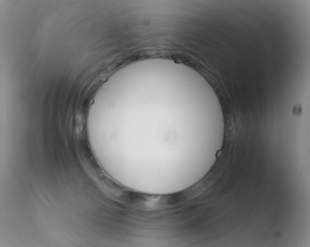 X0000110770130200906151003