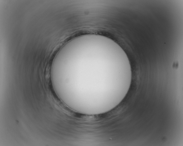 X0000110770131200906151003