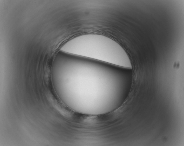 X0000110770132200906151003