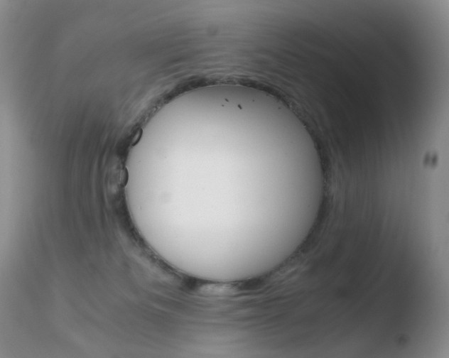 X0000110770133200906151003