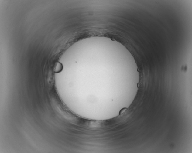 X0000110770134200906151003