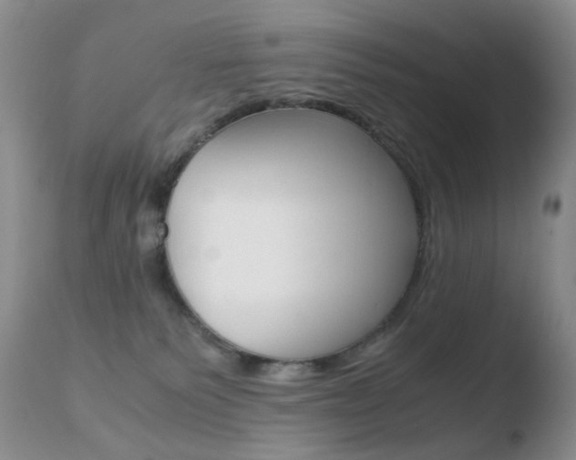 X0000110770135200906151003