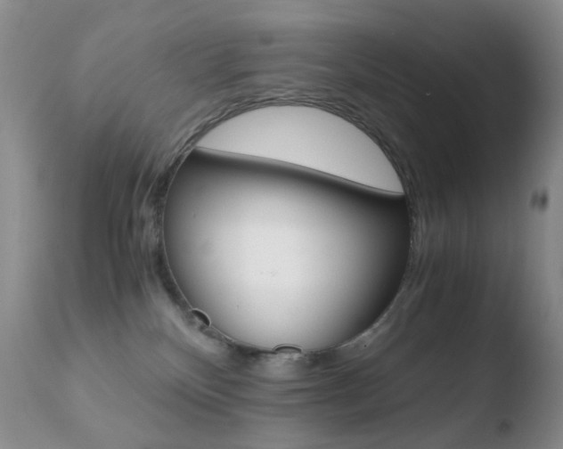 X0000110770136200906151003