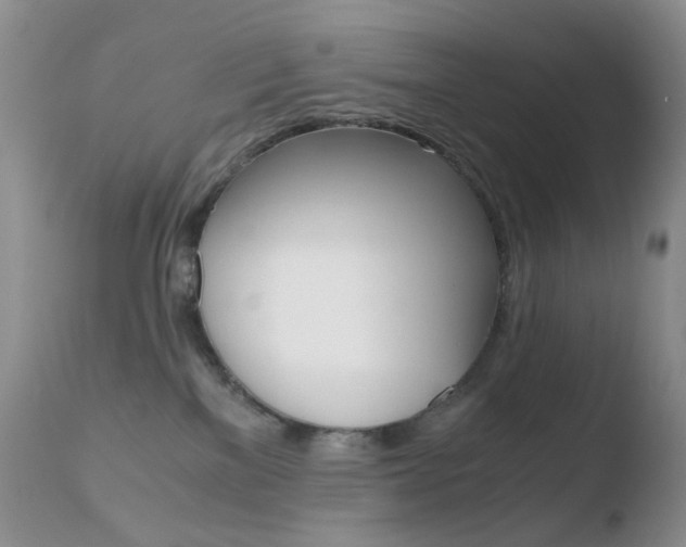 X0000110770137200906151003