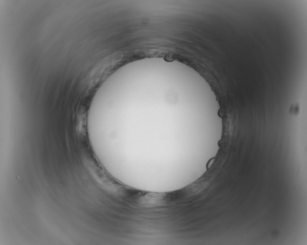 X0000110770138200906151003