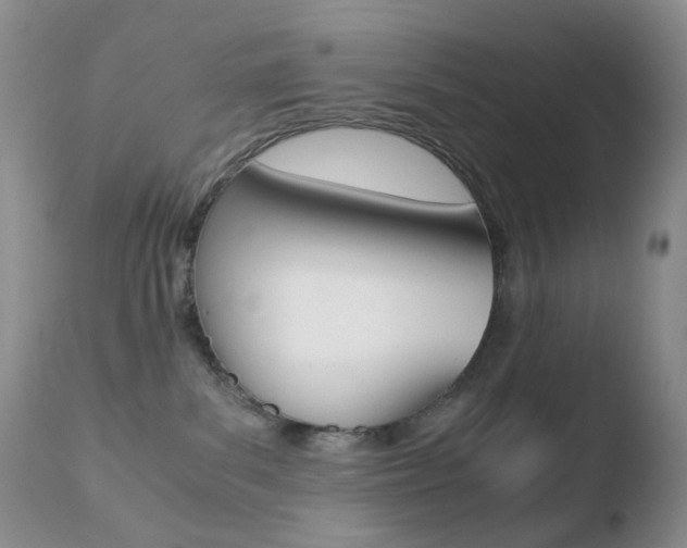 X0000110770139200906151003
