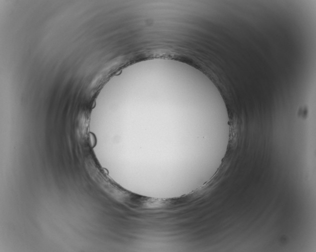 X0000110770142200906151003